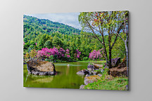 Obraz Dovolenka pri jazere 1412